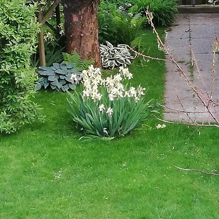 Premium-gartenwohnung, 4 Schlafzimmer & Pool In Woerthersee Naehe * Dellach (Klagenfurt-Land)