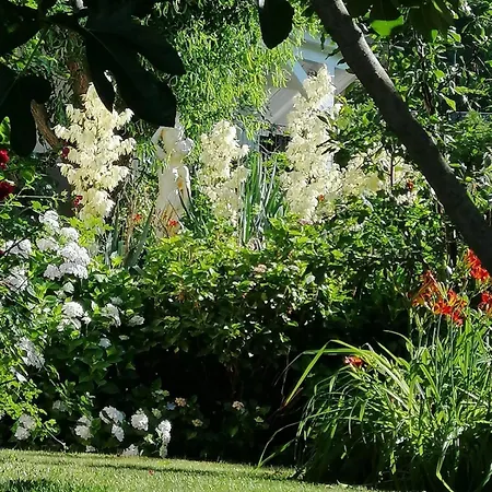Premium-gartenwohnung, 4 Schlafzimmer & Pool In Woerthersee Naehe Dellach (Klagenfurt-Land)